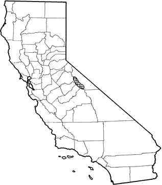 Mt. Lyell Shrew Range Map