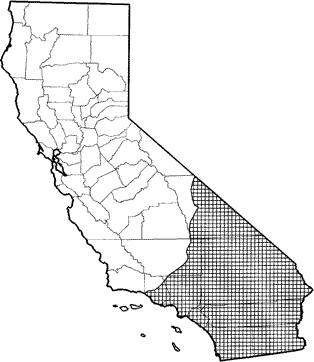 Desert Shrew Range Map