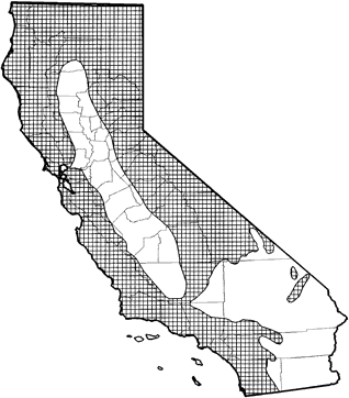 Fringed Myotis Range Map