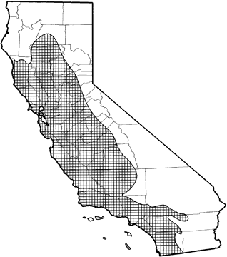 Western Red Bat Range Map