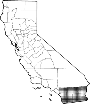 Southwestern Yellow Bat Range Map