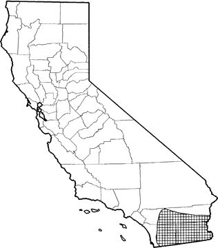 Pocketed Free-tailed Bat Range Map