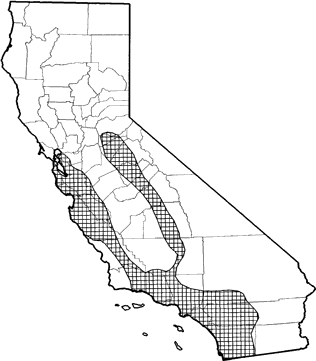 Western Mastiff Bat Range Map