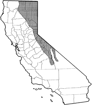 American Pika Range Map