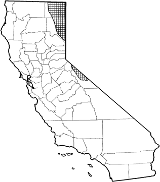 Pygmy Rabbit Range Map