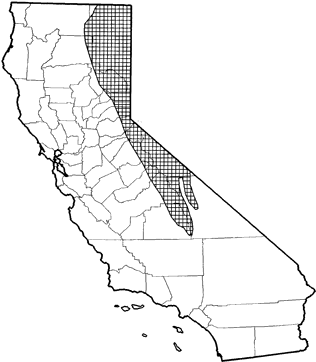 White-tailed Jackrabbit Range Map