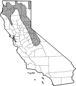 Allen's Chipmunk Range Map