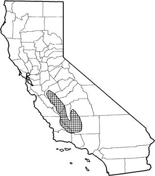 Nelson's Antelope Squirrel Range Map