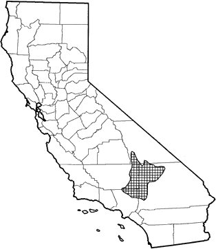 Mohave Ground Squirrel Range Map