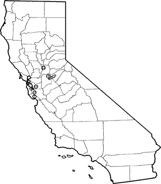 Eastern Gray Squirrel Range Map