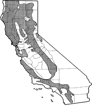 western gray squirrel range