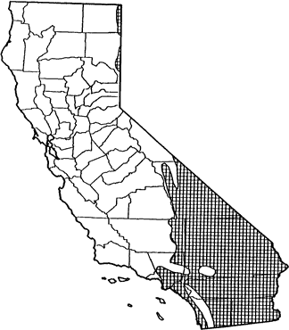 Little Pocket Mouse Range Map