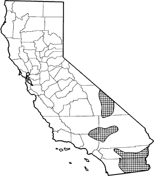 Desert Pocket Mouse Range Map