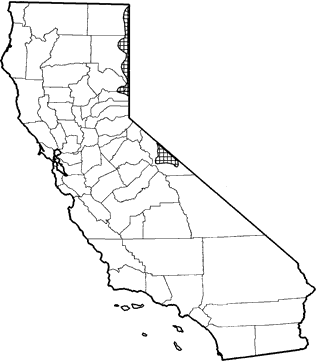 Dark Kangaroo Mouse Range Map