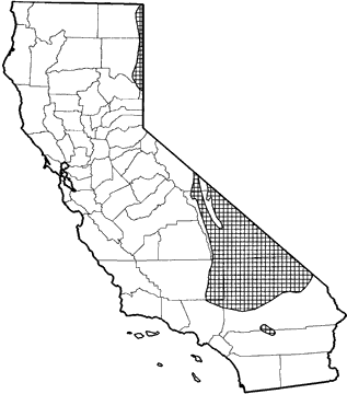 Chisel-toothed Kangaroo Rat Range Map