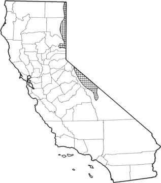 Sagebrush Vole Range Map