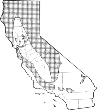 Common Porcupine Range Map