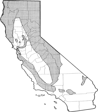 north american porcupine range