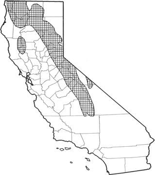 American Marten Range Map