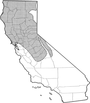  American Mink Range Map